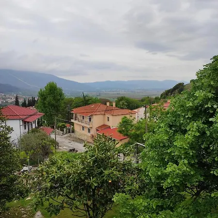 Evergreen Kavala